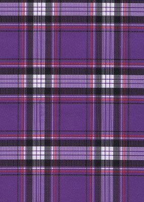"Casual Friday" Men's Board Shorts - 7" Inseam (Purple) - Board Shorts World Outlet
