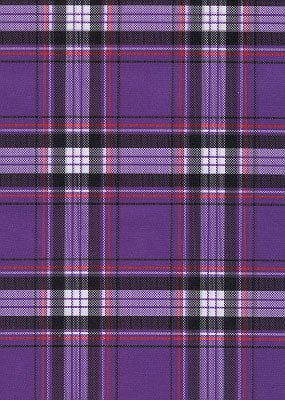 "Casual Friday" Plaid (Purple) Women's Board/Swim Shorts - 11"